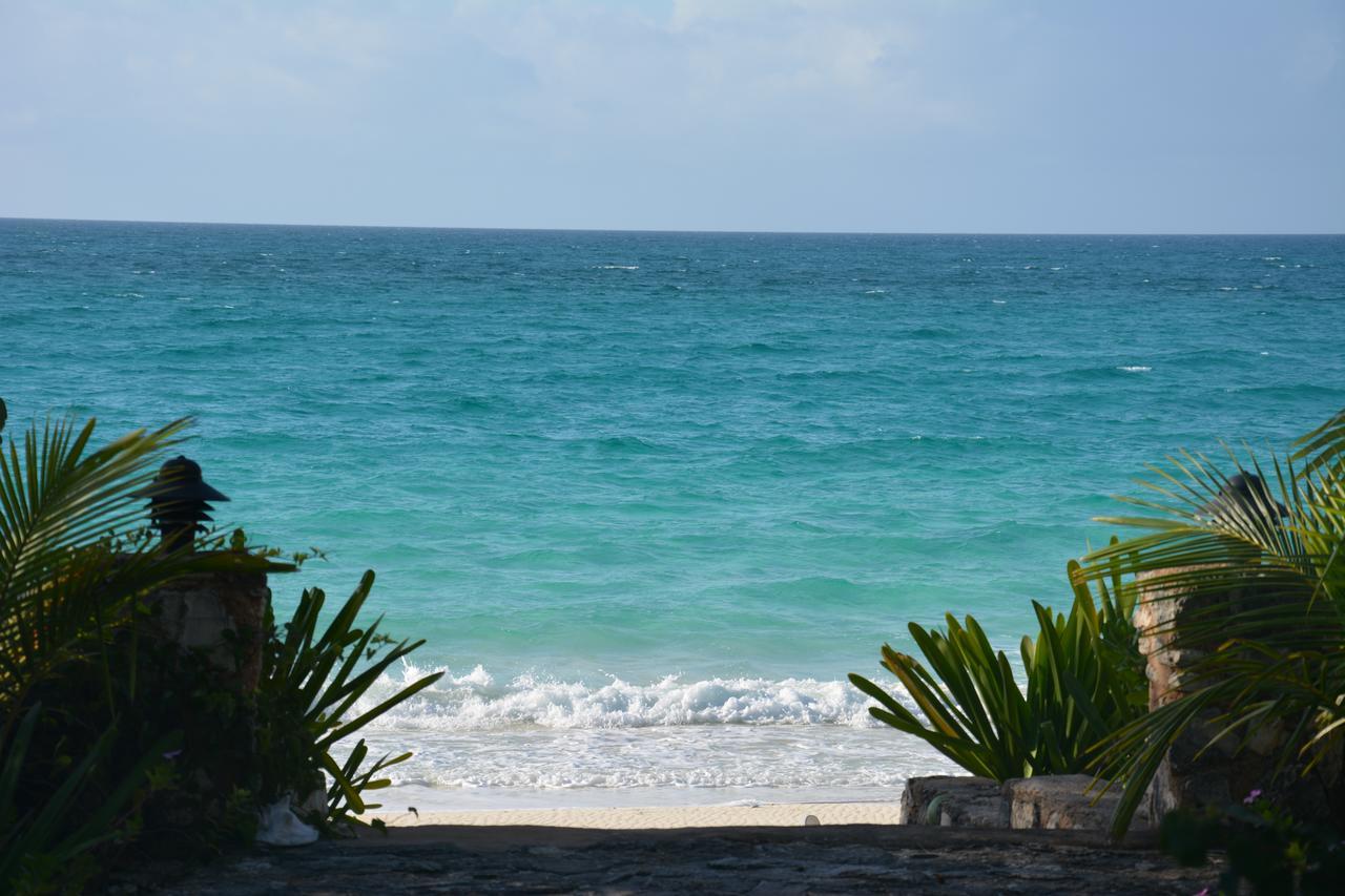 Pigeon Cay Beach Club Arthur Town Eksteriør billede