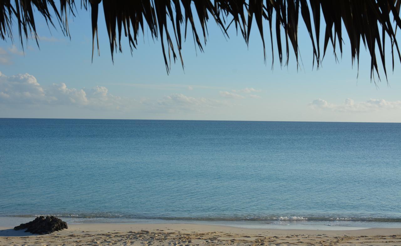 Pigeon Cay Beach Club Arthur Town Eksteriør billede