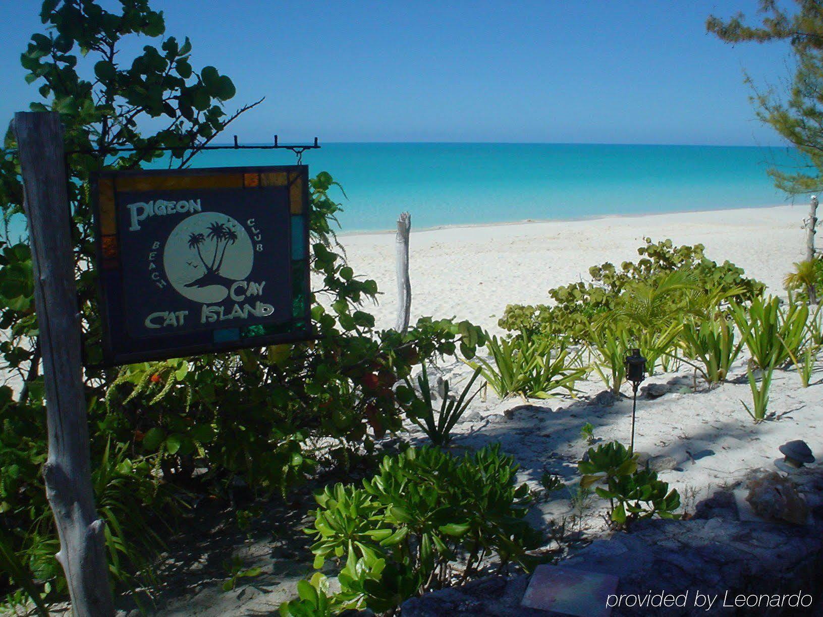 Pigeon Cay Beach Club Arthur Town Eksteriør billede