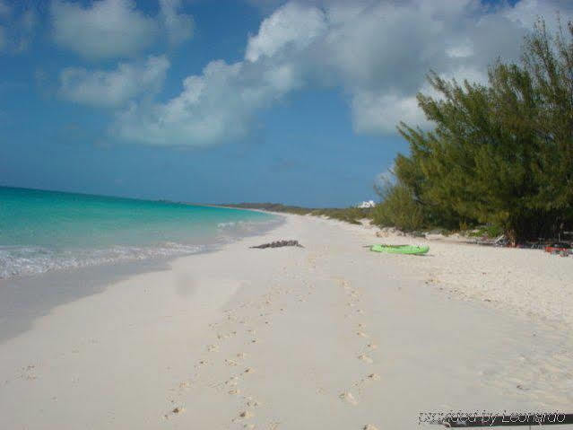 Pigeon Cay Beach Club Arthur Town Eksteriør billede